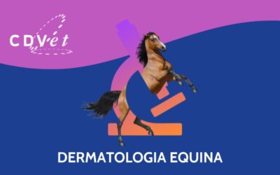 CDVet e HWC presentano il corso teorico-pratico di Dermatologia Equina